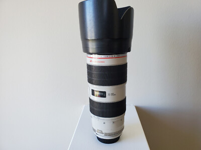 Canon EF 70-200mm f/2.8 L IS II USM Lens