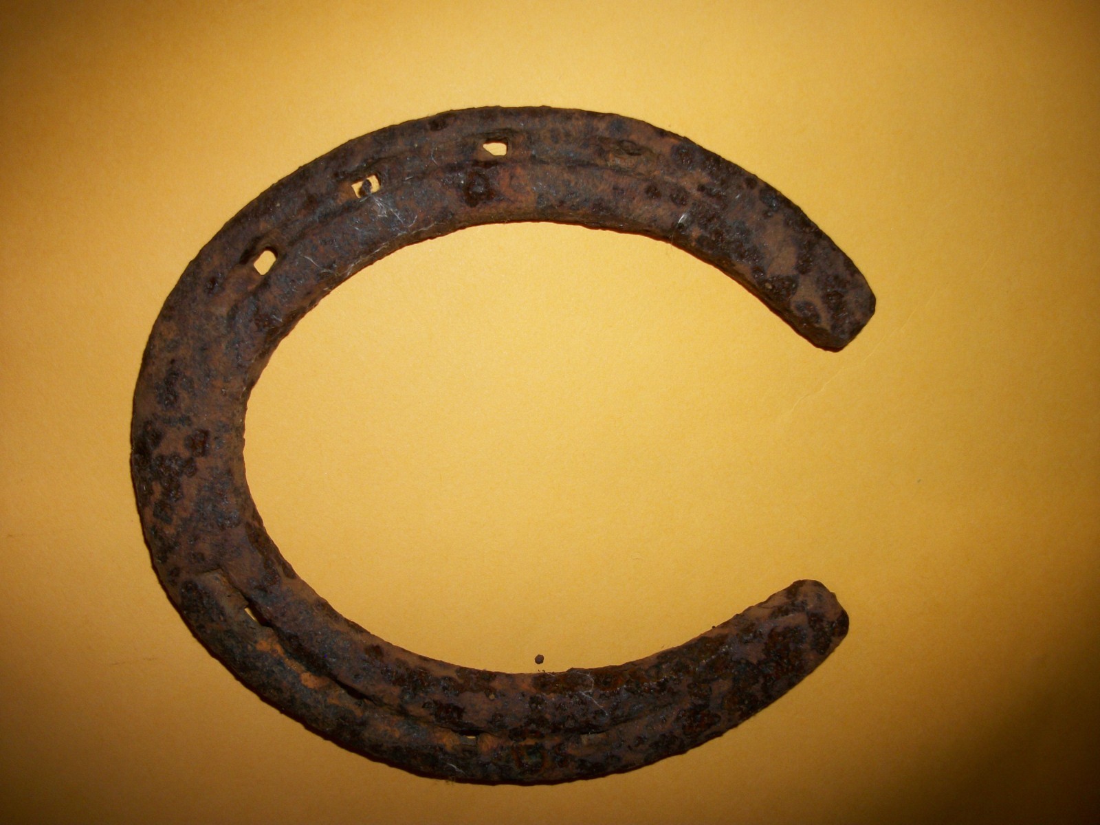 Rusty Rustic Metal Iron Used Horse Shoe Good Luck Charm Horseshoe Cabin Decor