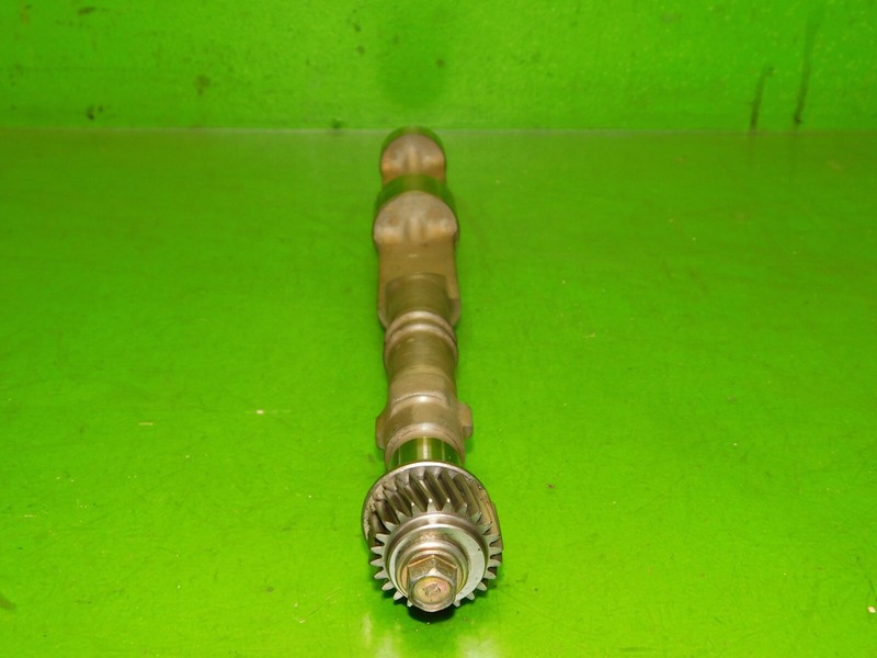 Picture 3