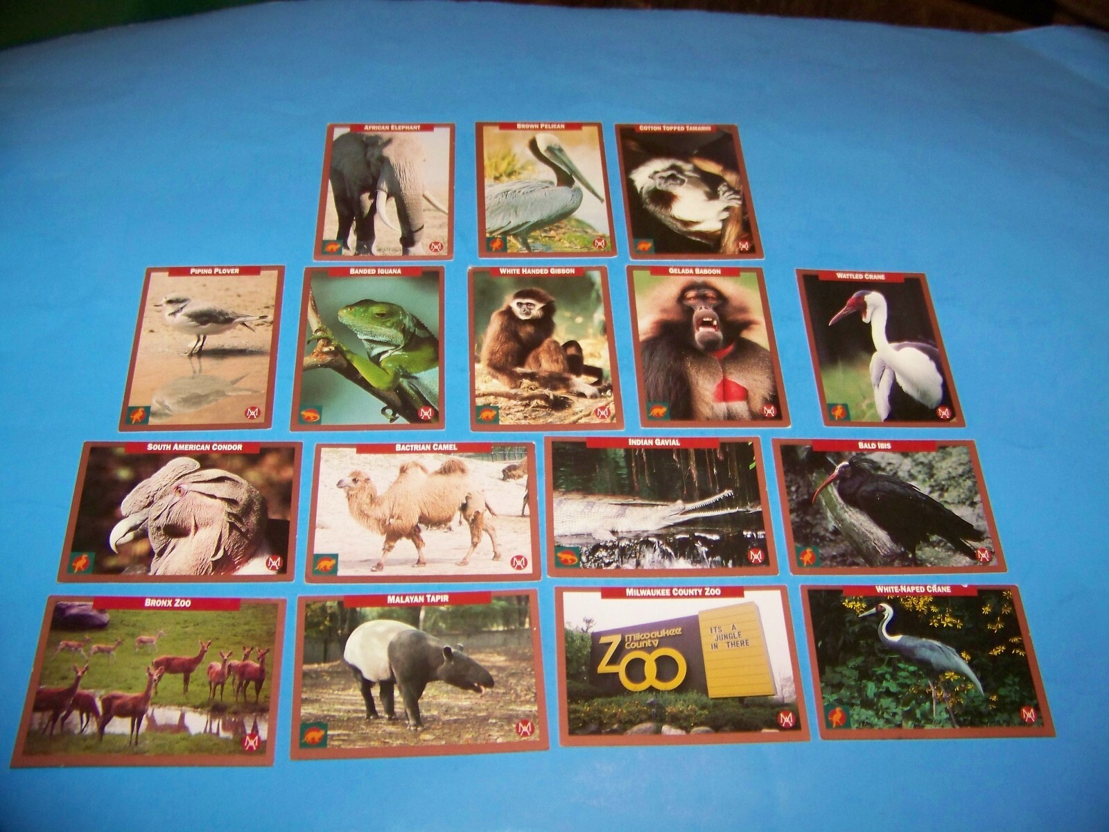 トレカ1992 Zoo Animals Trading Cards Vintage 1992 (Mixed Lot of 16