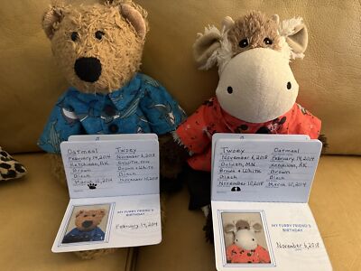 Fotos del artículo de un comprador verificado