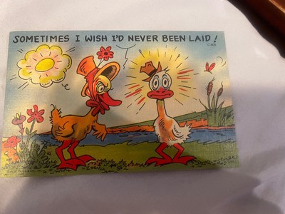 Postcard Vintage Humor Chickens Sometimes I Wish Id Never Been Laid 1950s