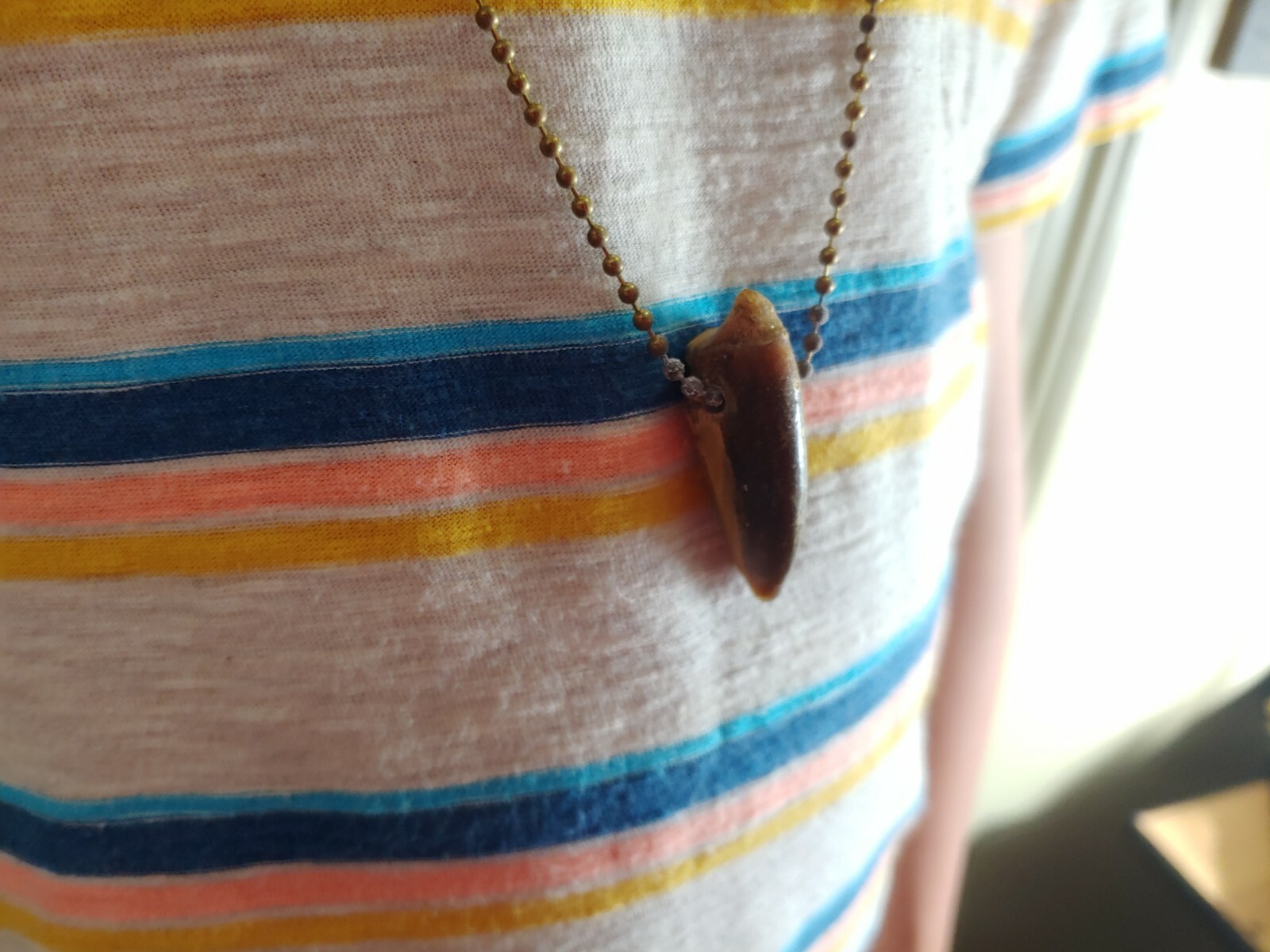 Alligator jewelry necklace 1" to 2"  nails real gator toe necklace weird