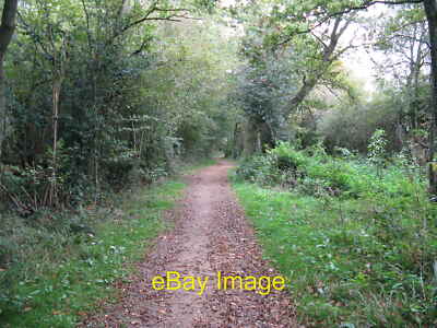 Photo 6x4 Bridleway approaching Roundstreet Common  c2010