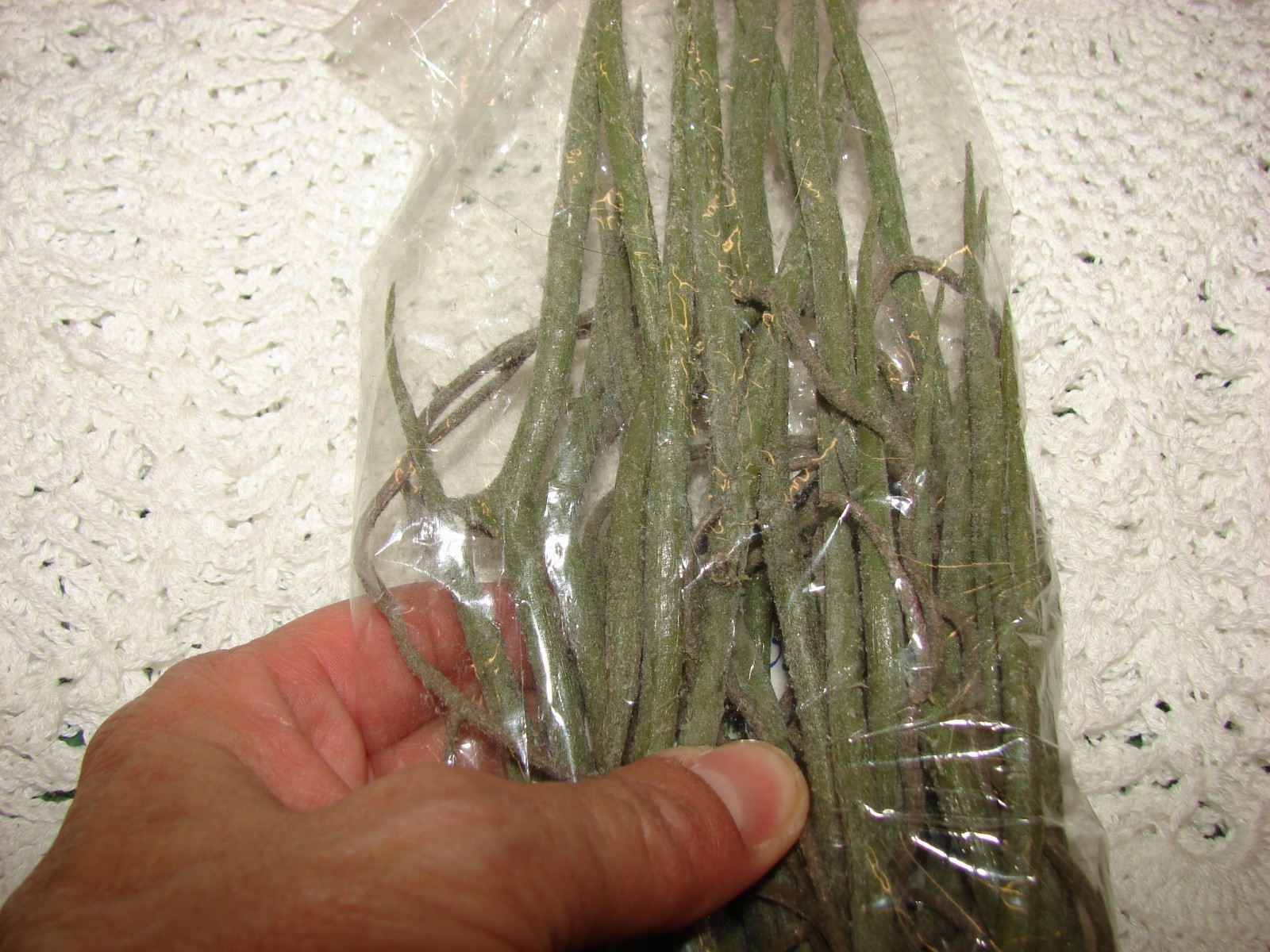 Lot of 1 epiphyite spray and 1 Christmas floral stem fake flowers floral crafts