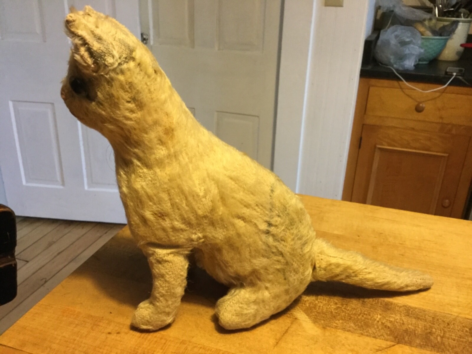 Early 1900’s Antique Steiff Mohair Cat No ID Timeworn Condition