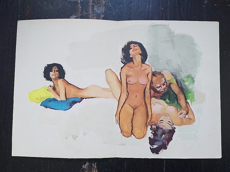 Illustration  Erotique De Pierre-Laurent Brenot Pour Les Memoires D'Un Eunuque
