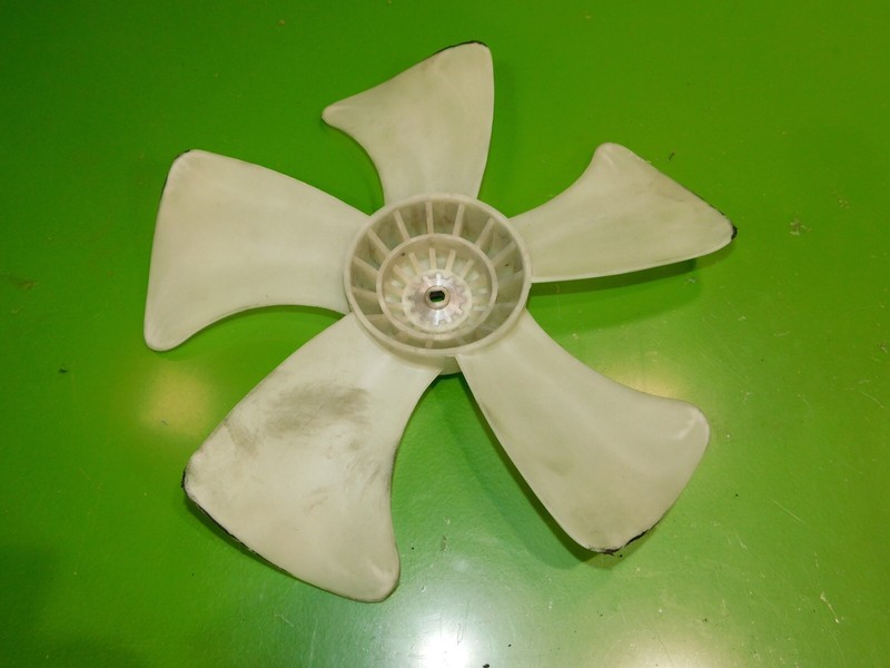 Picture 3