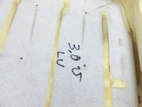 Audi A4 8K B8 08-11 Lim Rückenpolster Links Vorne für Fahrer Sitz beheizt Audi A4 8K B8 08-11 04.04.2009 8K0881775... Vorschau 9