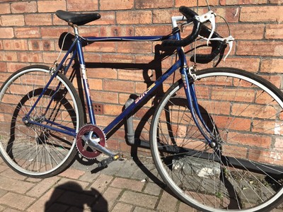 Single speed project bike - Retro Sunrise Frame