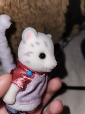 Photos de l'objet d'un acheteur vérifié