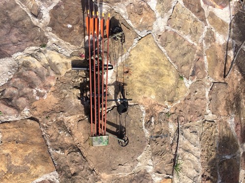 Alpine Ravage Compound Hunting Bow