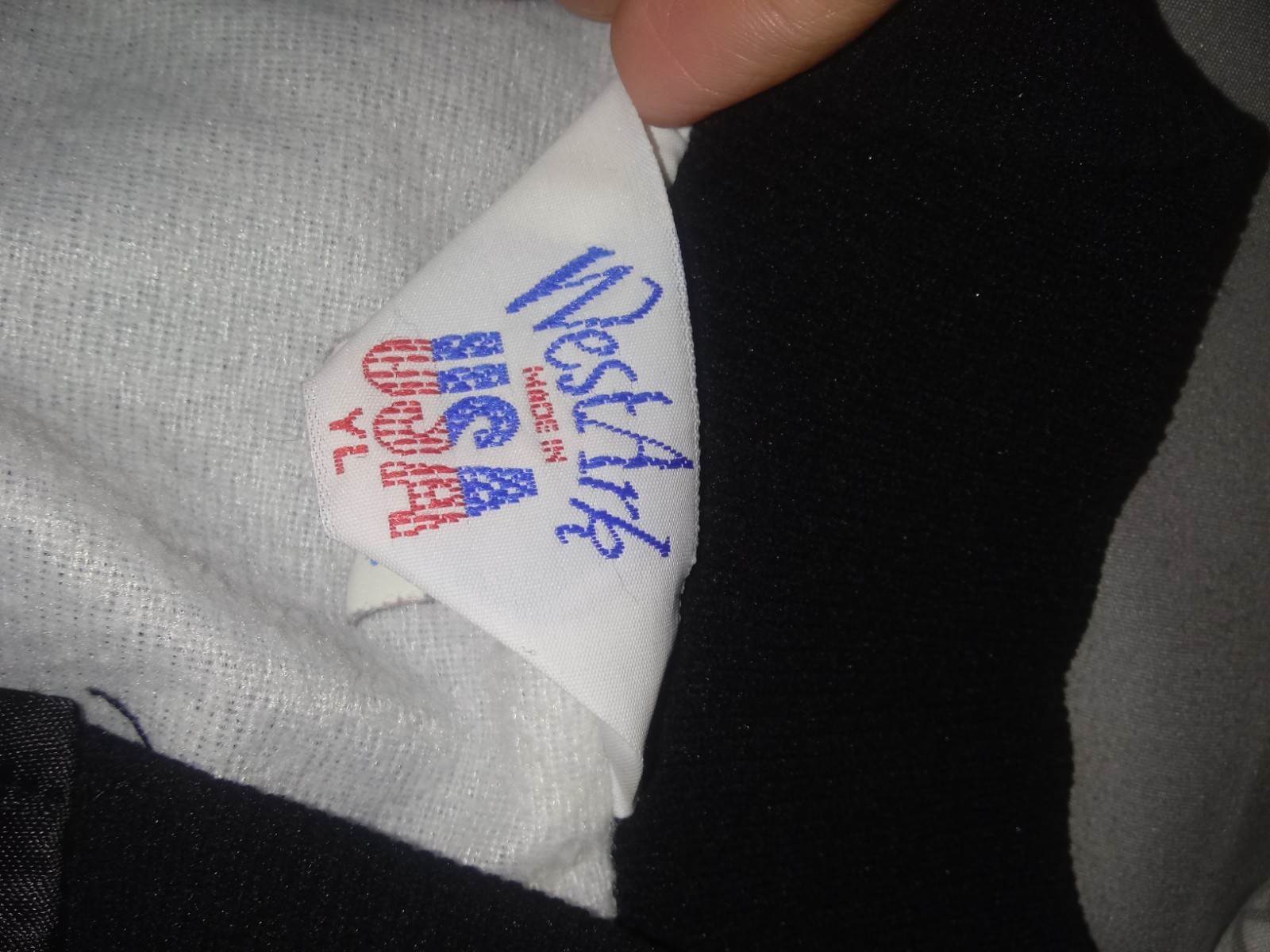 Selena y los dinos jacket