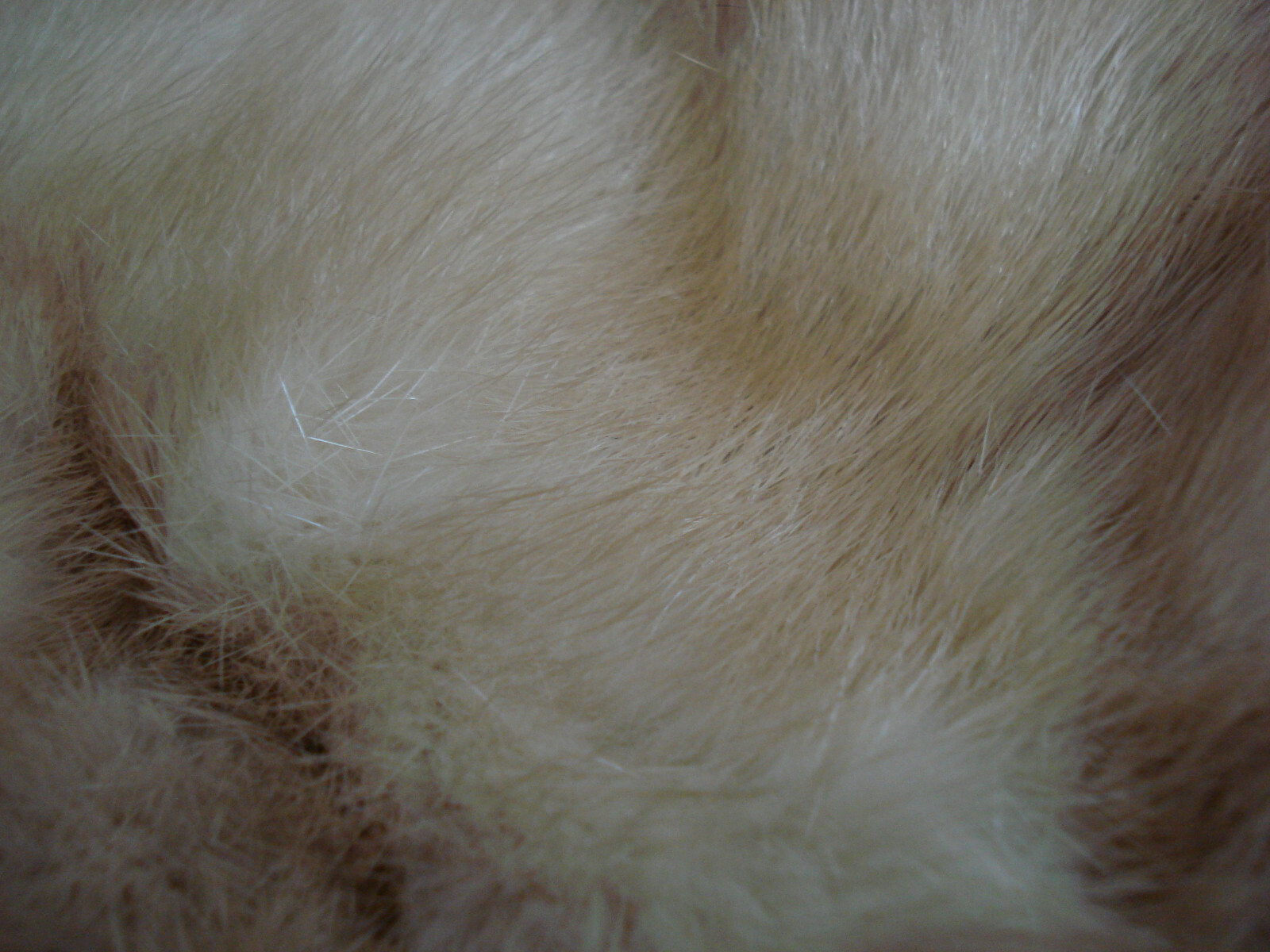 LARGE VINTAGE BLONDE GENUINE MINK FUR COLLAR
