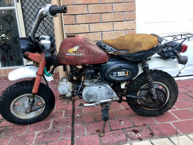honda monkey gumtree