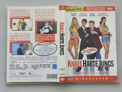 Knallharte Jungs (Axel Stein) DVD sehr gut