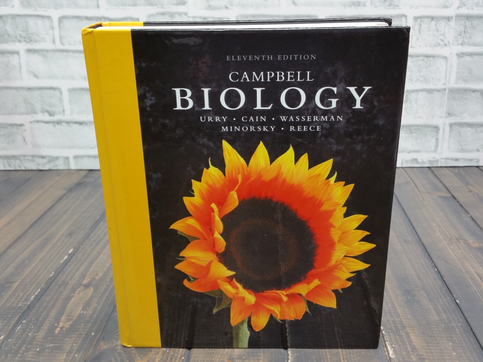 Кэмпбелл биология купить. Campbell biology