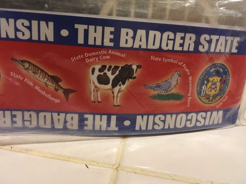 Wisconsin State Symbols Bulletin Board Borders (22 Borders = 32ft) NEW!