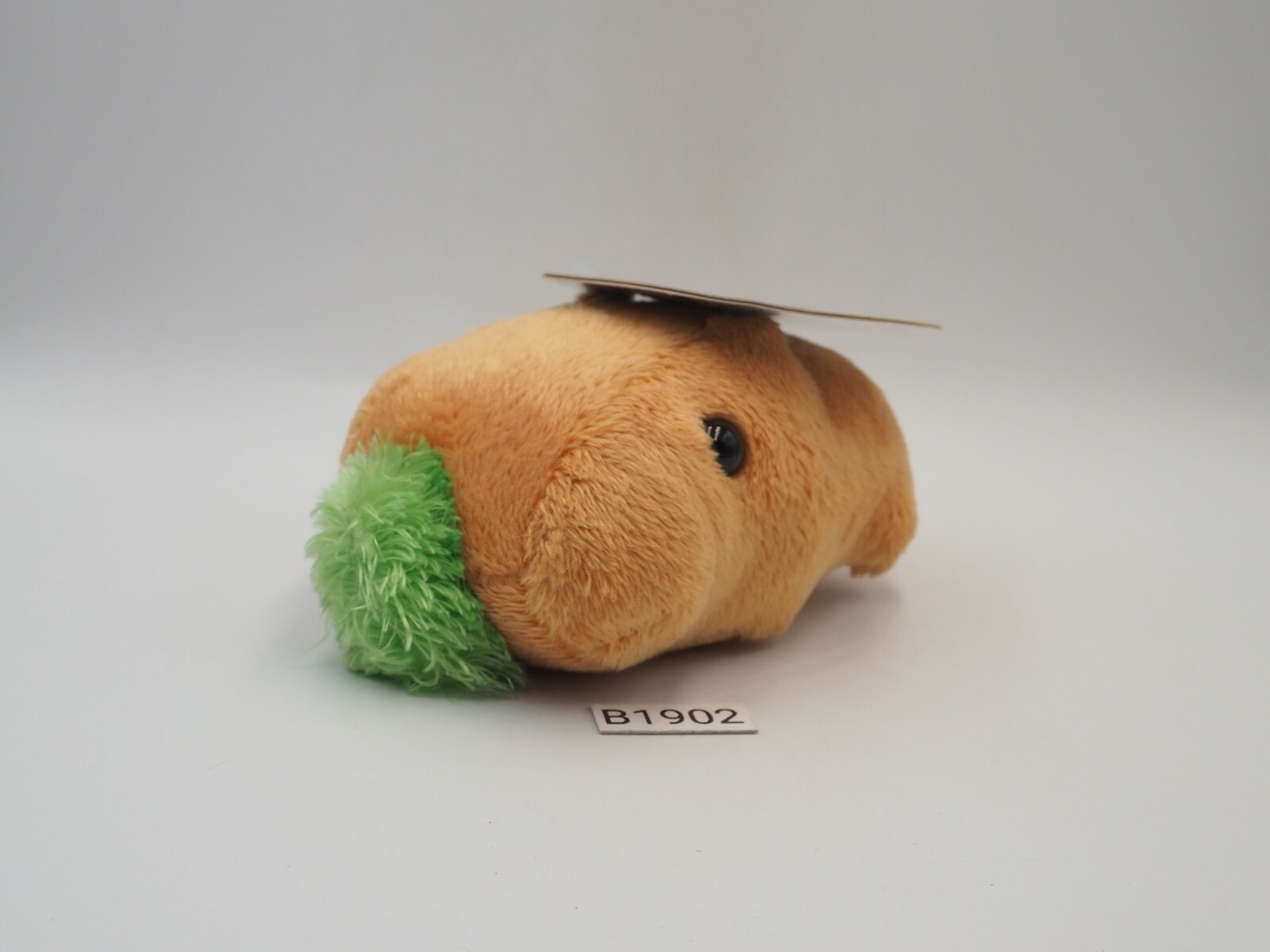 KAPIBARA Capybara (Phonk Remix) - YouTube