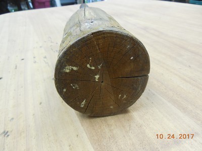 Primitive 19