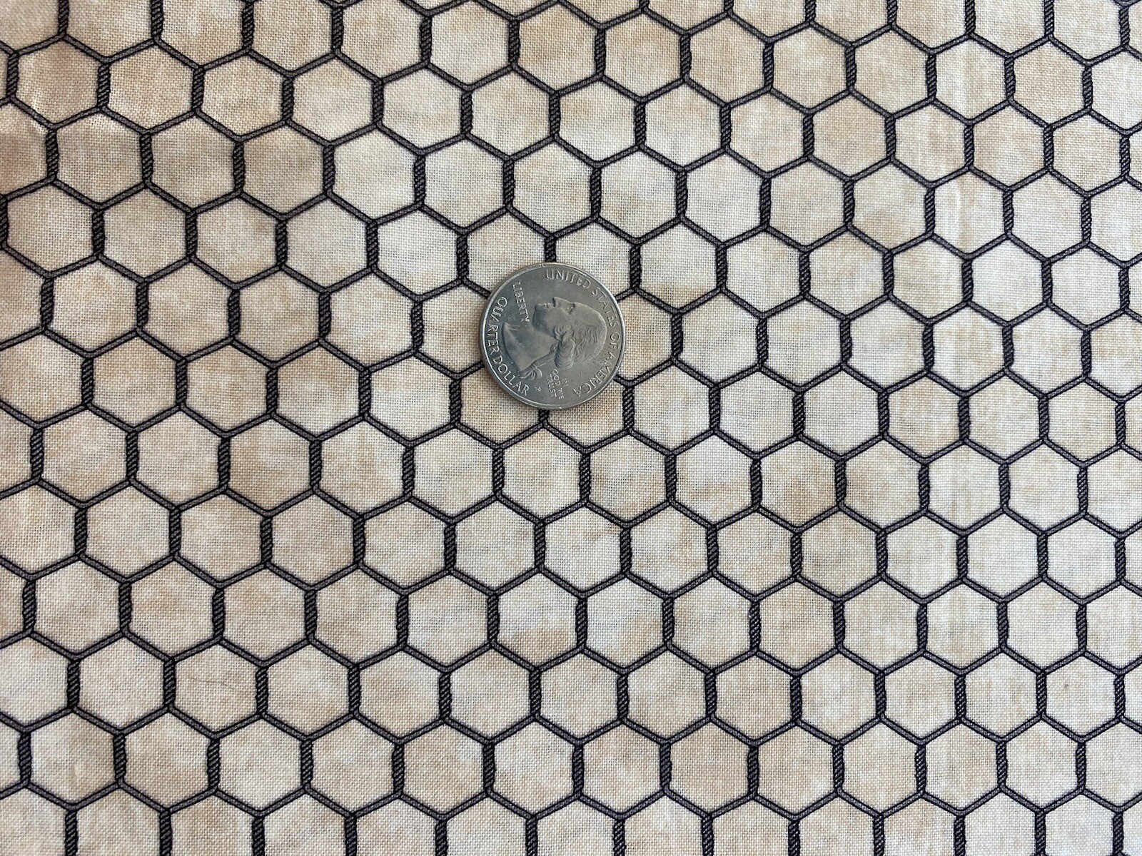 Chicken Wire Fabric - 44