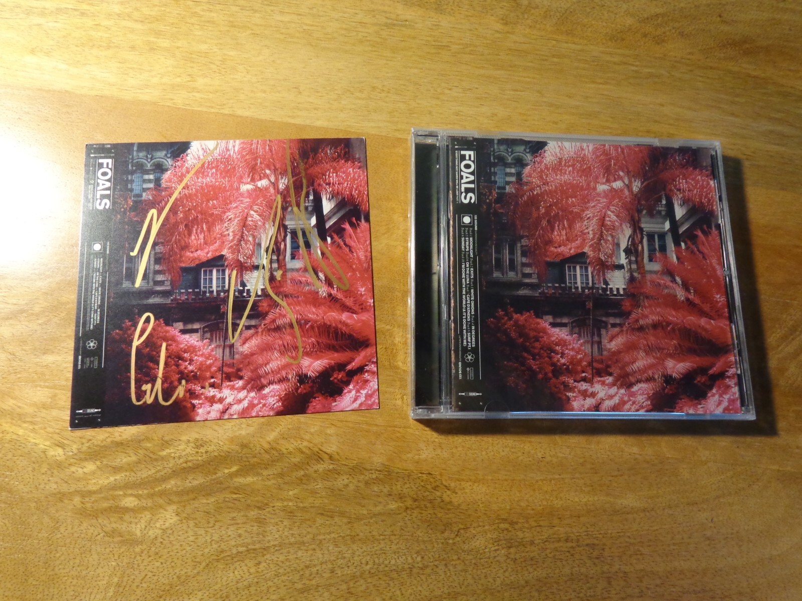 洋楽 Foals Everything Not Saved Will Be Lost 81iLpLk8l-L._UF1000,1000_QL80_.jpg