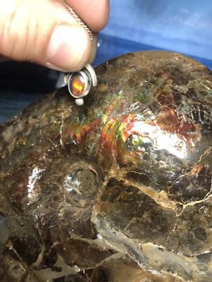 Fotos del artículo de un comprador verificado