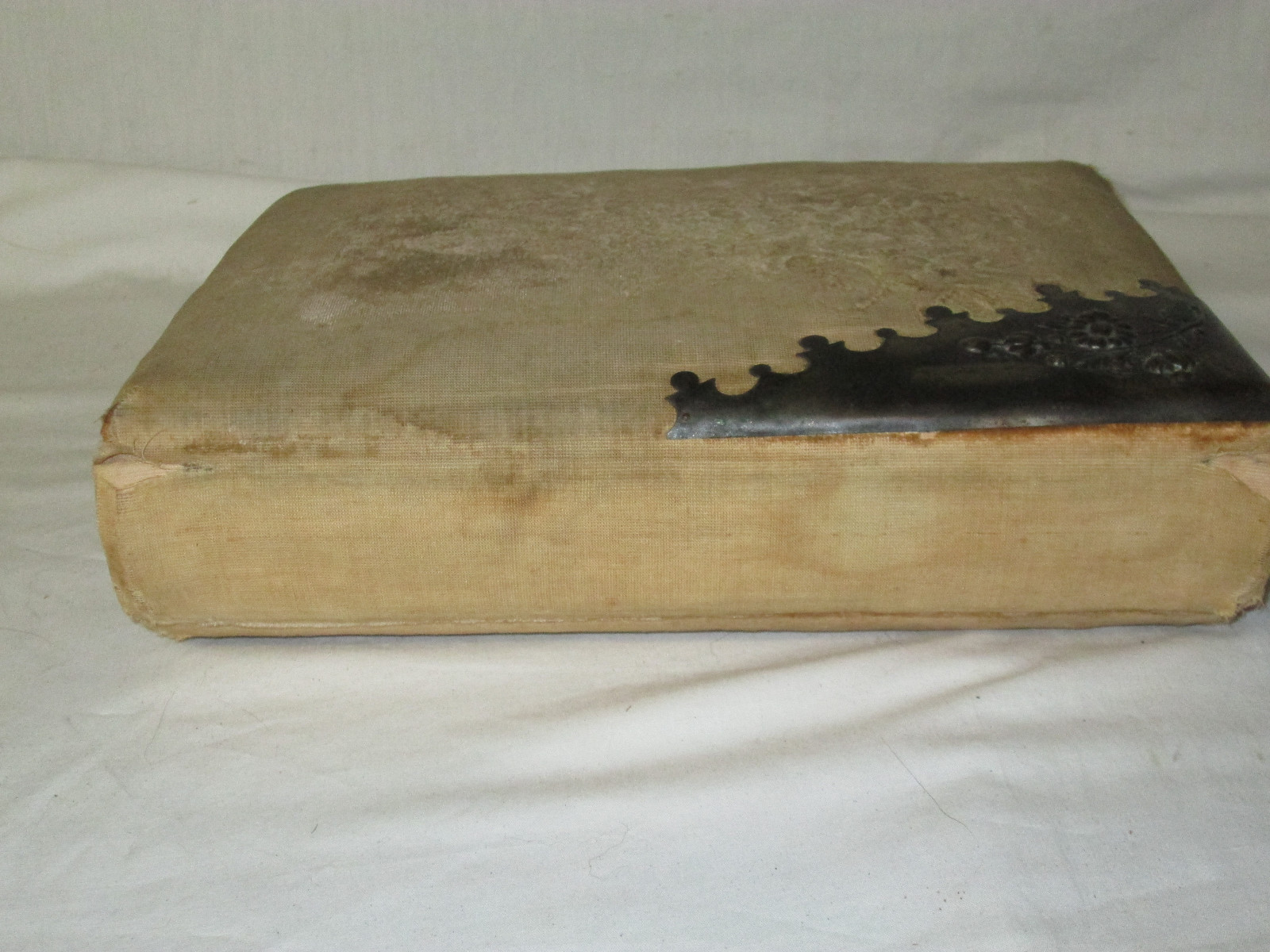 Antique Victorian  Photo Album Velvet Cabinet Card Frame 20 photos Amherst ohio