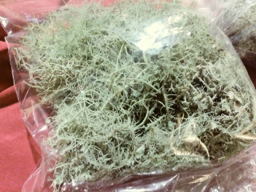 1 Ounce each Usnea Deer lichen Spanish Moss Carpet Moss Bark moss crafts terrari
