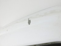 Nissan NV200 09-21 Kasten Tür Flügeltür Hecktür Rechts Hinten QM1 Nissan NV200 09-21 01.08.2010 K010MJX5MB gebraucht Vorschau 6