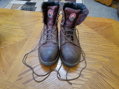 irish setter 83607