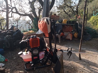 Foto dell'oggetto di un acquirente verificato