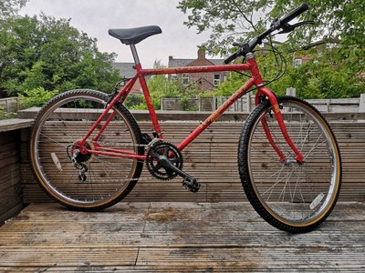 raleigh scorpion mountain bike