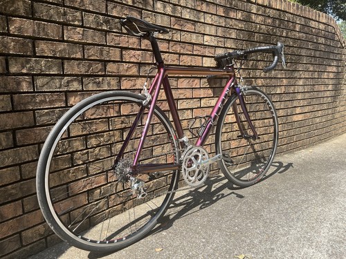 KLEIN Quantum Pro Jade Chameleon フレームセット 1997 Klein Quantum Pro Jade Chameleon Paint For Sale