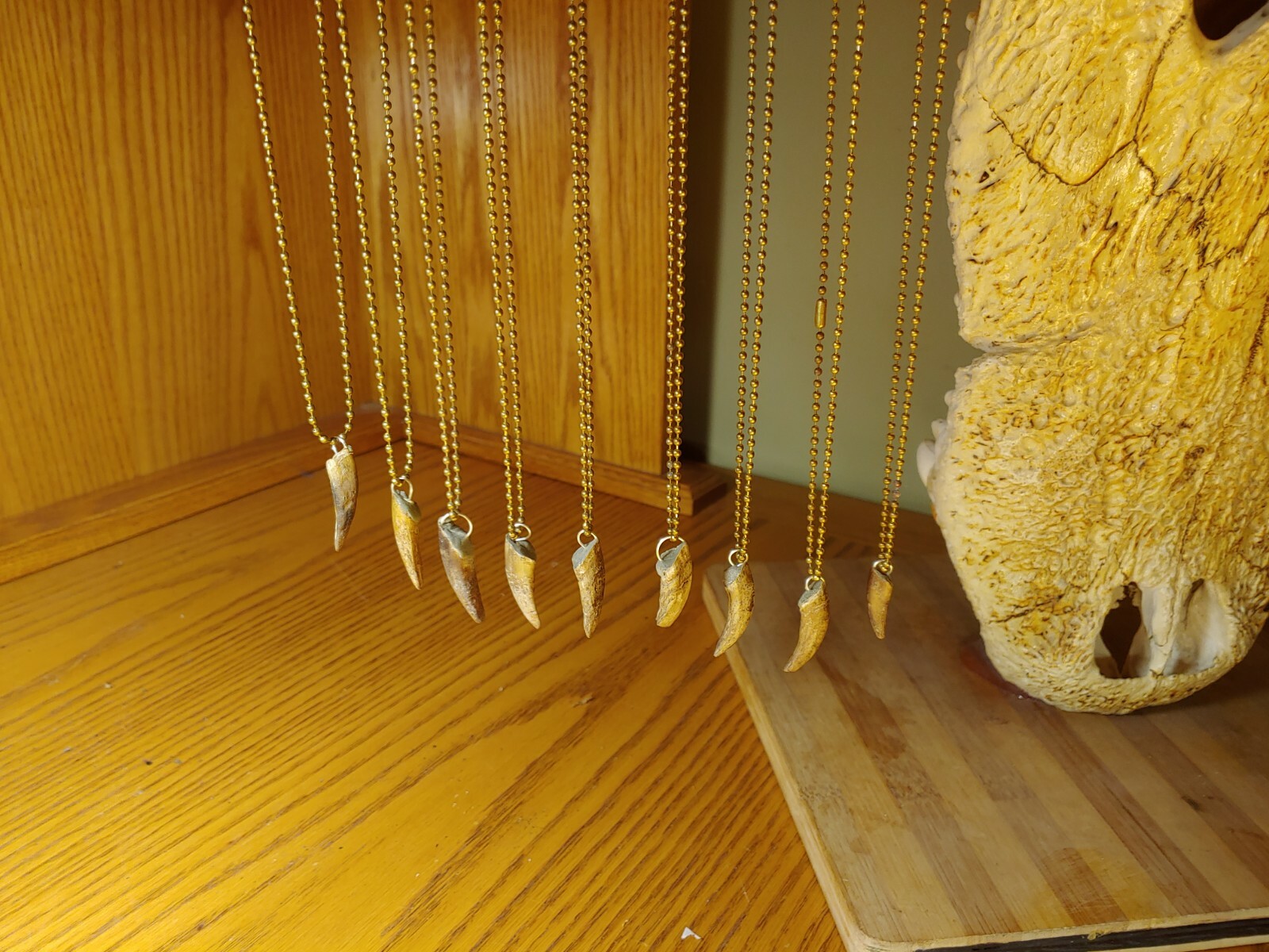 Alligator jewelry necklace 1" to 2"  nails real gator toe necklace weird