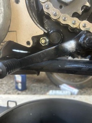 Item photo(s) from verified buyer