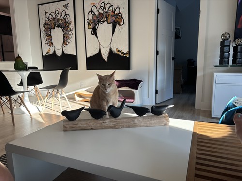 Objectfoto('s) van geverifieerde koper