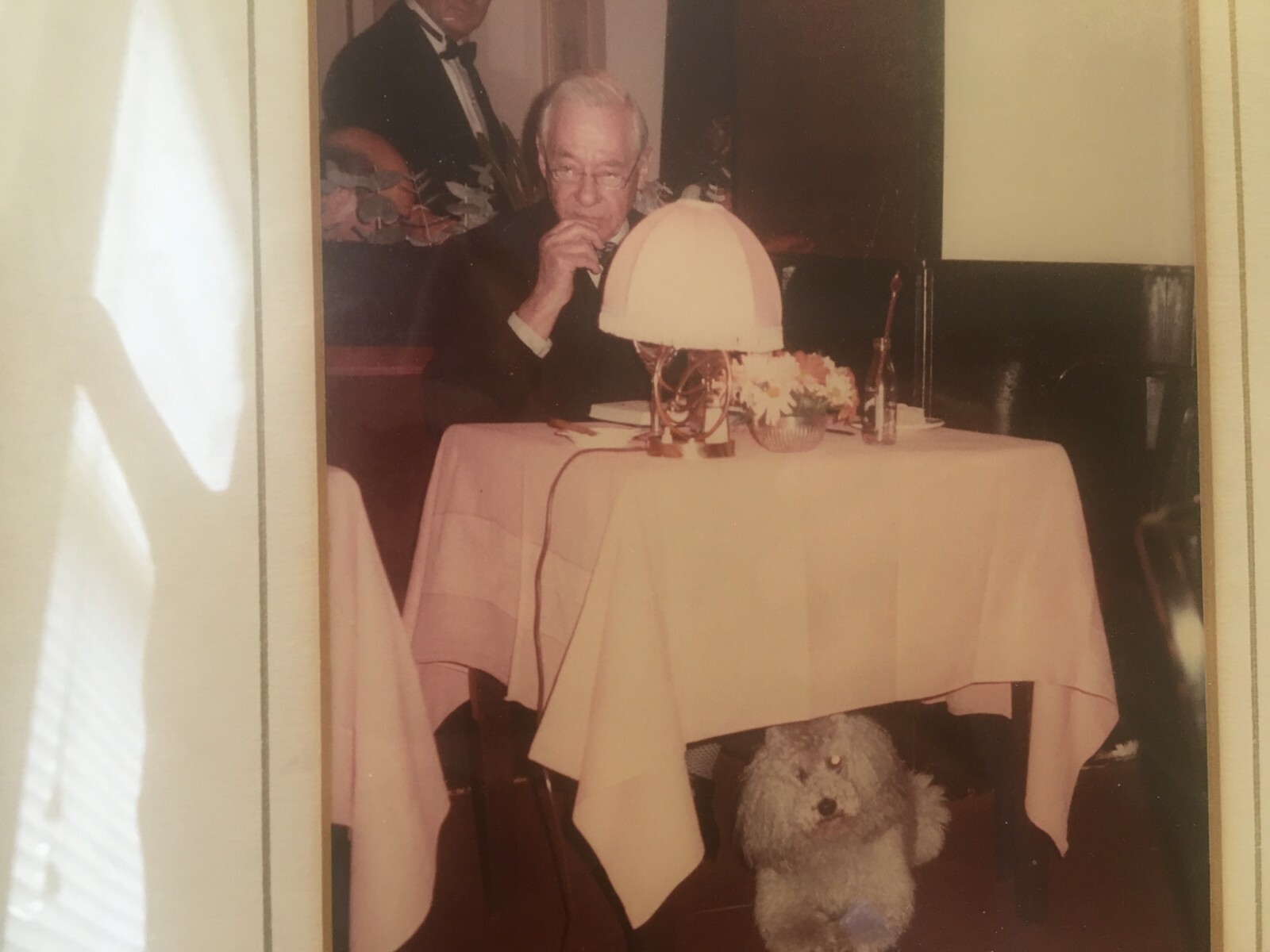 Henry Ringling North Signed Autographed Photograph Postcard Ringling Brothers