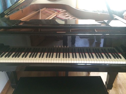 Yamaha C7 Grand Piano 7' 6