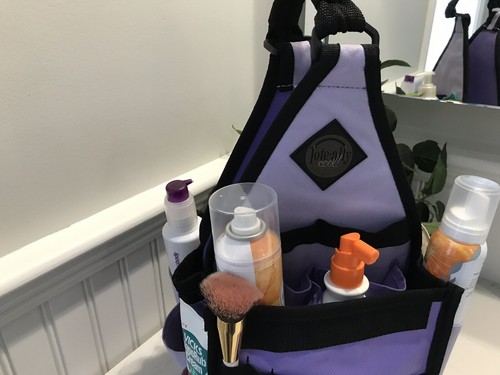 Tote-Ally Cool Tote On the Go Scrapbook Canvas Craft Tool Storage AMM Pink Bag