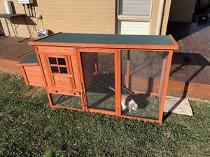 RABBIT CHICKEN COOP HUTCH - P Up WINDELLA NSW Pet 