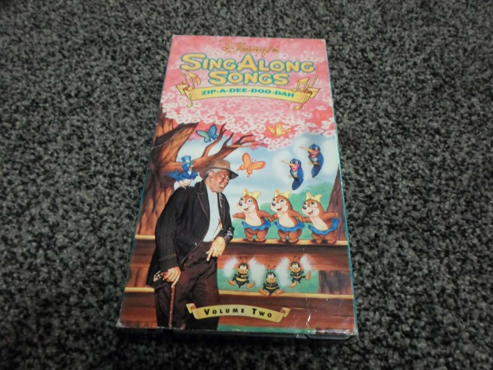 DWE Sing Along！DVD Amazon.com: Sing Along Songs - Disneyland Fun : Wayne