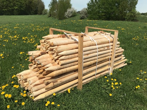 Holzpfähle, Weidezaun, Stempen, Pfähle, Forstzaun, Naturpfähle