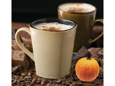 Pumpkin Spice Cappuccino Mix Mixes 1 Pound