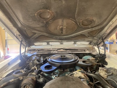 unclassified image 40