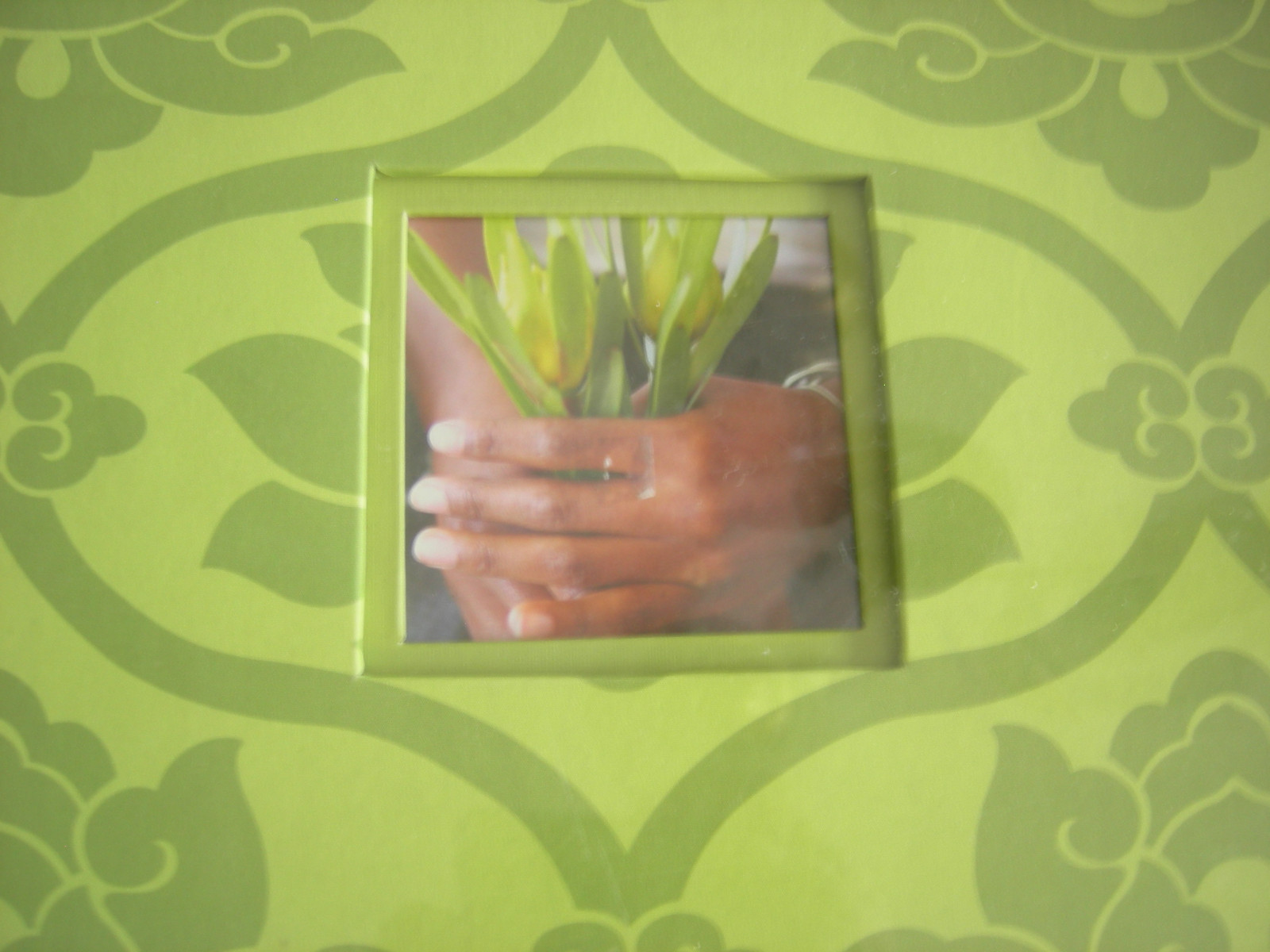 K&Company Amy Butler 12 X 12 Sola Fabric Scrapbook NEW (other)