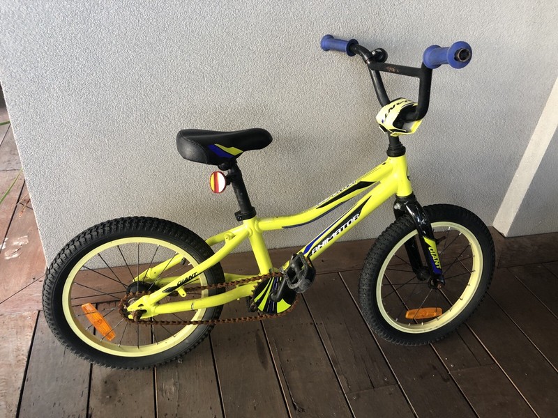 gumtree giant bike