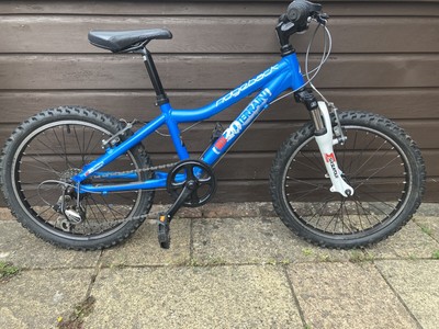 ridgeback mx20 blue