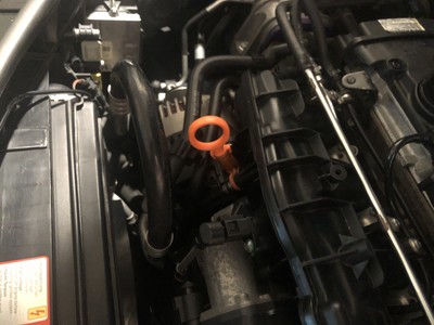 Fotos del artículo de un comprador verificado