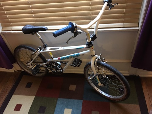 Haro Master 1989 Bash Guard Sport FST FSX Old School Mid Vintage Fusion Group 1